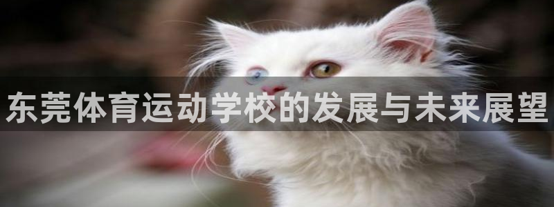 尊龙官网下载招商电话号码是多少啊：东莞体育运动学校的