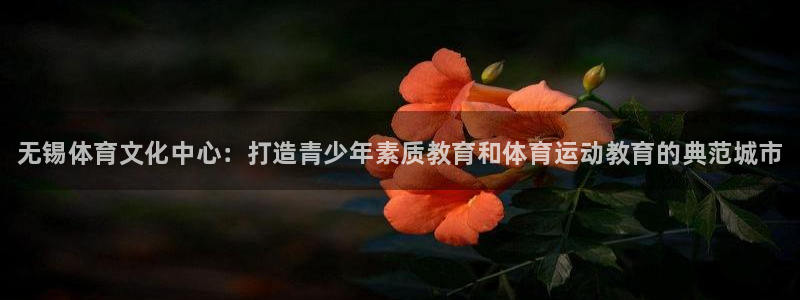 尊龙官网下载平台注册要钱吗安全吗：无锡体育文化中心：