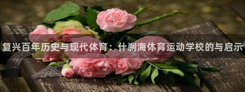尊龙官网下载招商电话号码查询：复兴百年历史与现代体育：什刹海