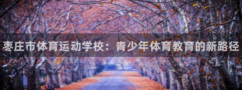 尊龙官方正版app集团E.ON：枣庄市体育运动学校：