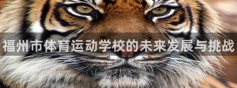 尊龙官网下载平台是正规平台吗：福州市体育运动学校的未来发展与