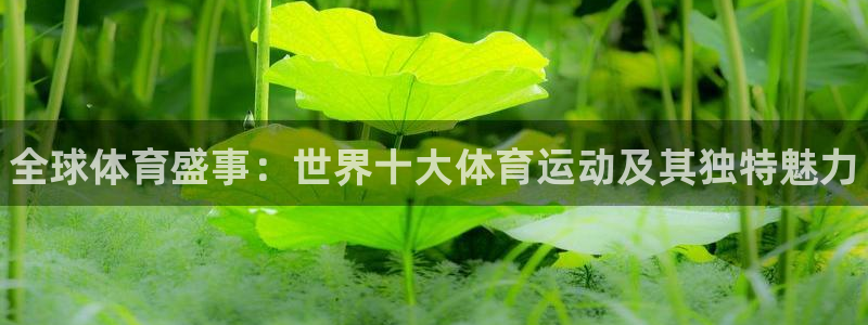 尊龙官网下载平台注册要钱吗：全球体育盛事：世界十大体育运动及
