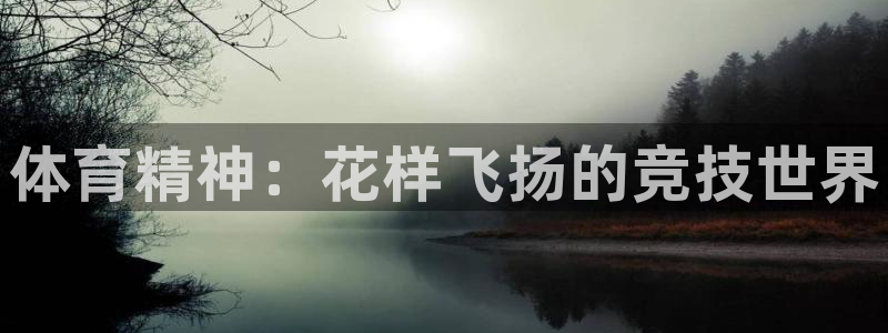 尊龙官网下载平台注册要钱吗安全吗：体育精神：花样飞扬的竞技世
