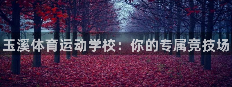 尊龙官方正版app科技