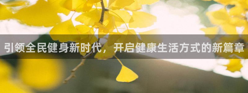 尊龙官方正版app集团E.ON：引领全民健身新时代，
