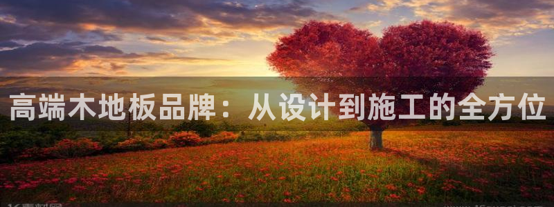 尊龙官方正版app五金厂：高端木地板品牌：从设计到施