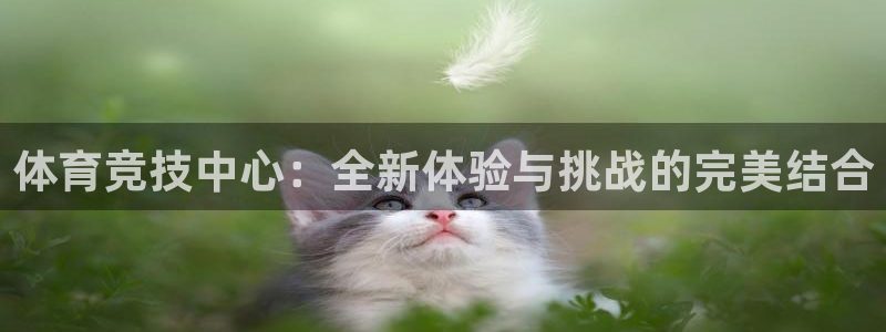尊龙官网下载娱乐：体育竞技中心：全新体验与挑战的完美