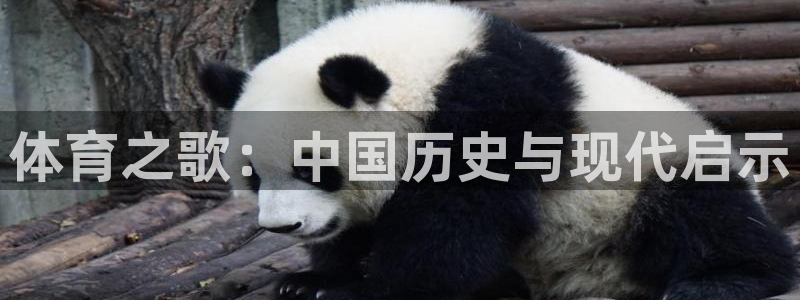 尊龙官方正版app集团官网首页网址：体育之歌：中国历