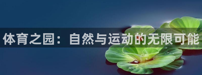 尊龙官网下载平台注册流程视频：体育之园：自然与运动的