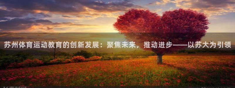 尊龙官网下载：苏州体育运动教育的创新发展：聚焦未来，