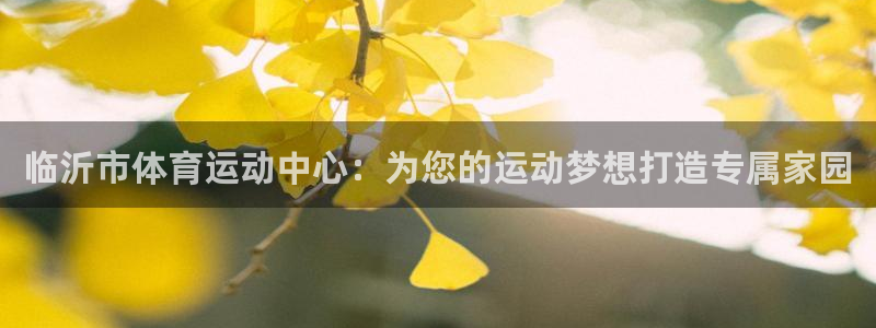 尊龙官方正版app娱乐代理怎么样：临沂市体育运动中心
