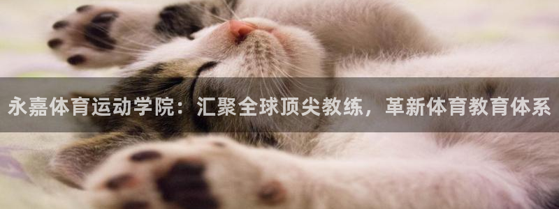 尊龙官方正版app科技：永嘉体育运动学院：汇聚全球顶