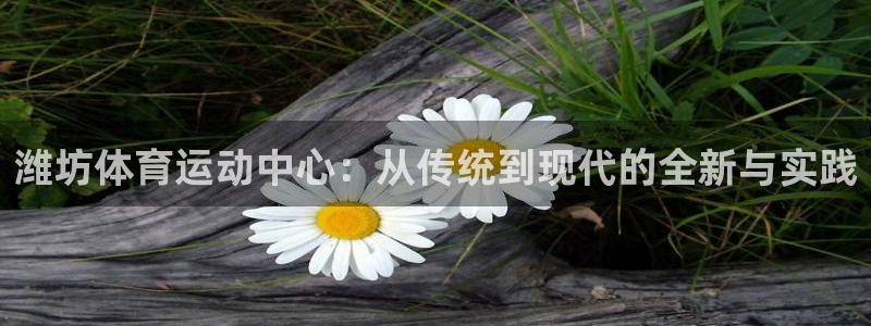尊龙官网下载平台APP：潍坊体育运动中心：从传统到现