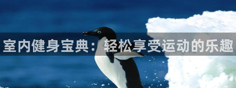 尊龙官网下载平台注册要钱吗是真的吗：室内健身宝典：轻