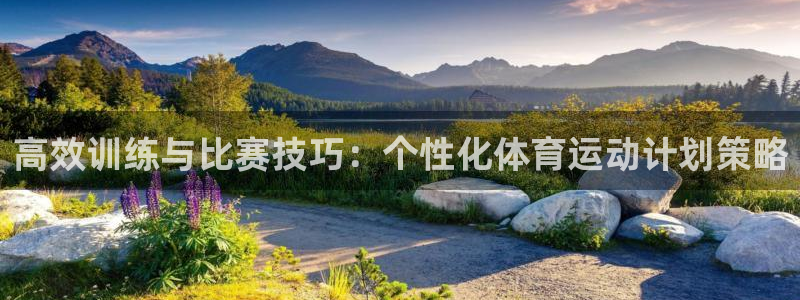 尊龙官网下载招商电话号码查询是多少：高效训练与比赛技巧：个性