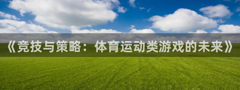 德国尊龙官方正版app集团：《竞技与策略：体育运动类