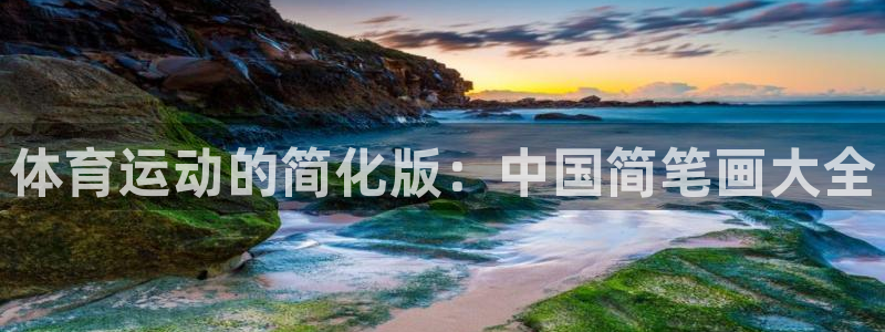 尊龙官网下载平台是正规平台吗安全吗：体育运动的简化版