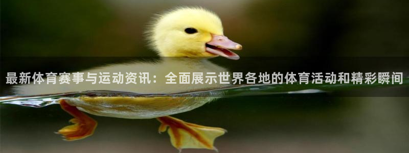 尊龙官方正版app娱乐首页官网下载：最新体育赛事与运