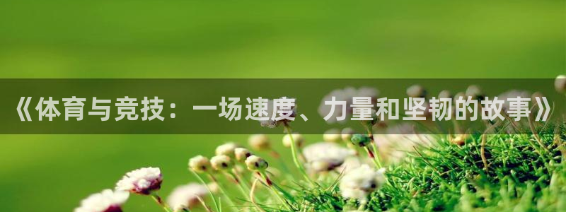 尊龙官方正版app娱乐首页网站大全：《体育与竞技：一