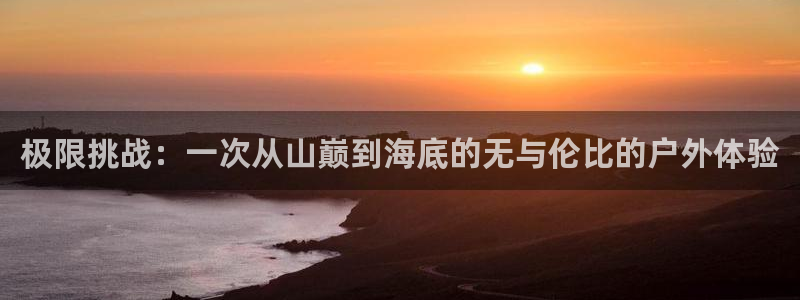 尊龙官方正版app新能源