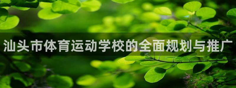 尊龙官网下载平台注册流程图：汕头市体育运动学校的全面