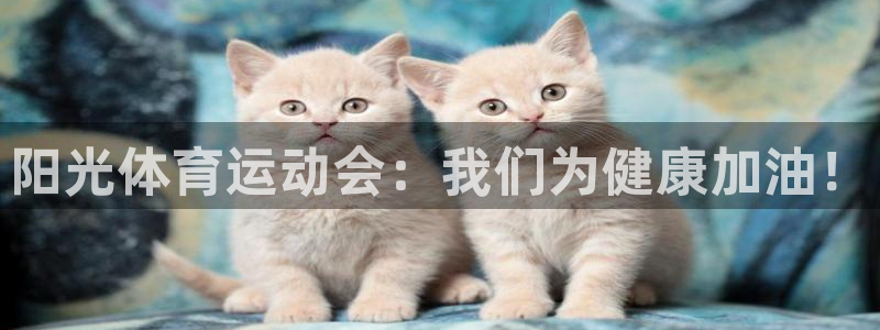 尊龙官网下载平台是正规平台吗知乎