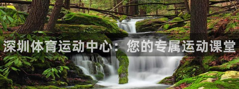 尊龙官网下载招商电话号码是多少