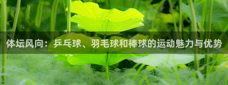 尊龙官网下载平台是正规平台吗知乎：体坛风向：乒乓球、