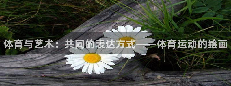 尊龙官方平台体育：体育与艺术：共同的表达方式——体育