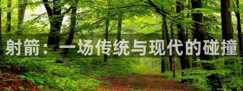 尊龙官方平台体育：射箭：一场传统与现代的碰撞