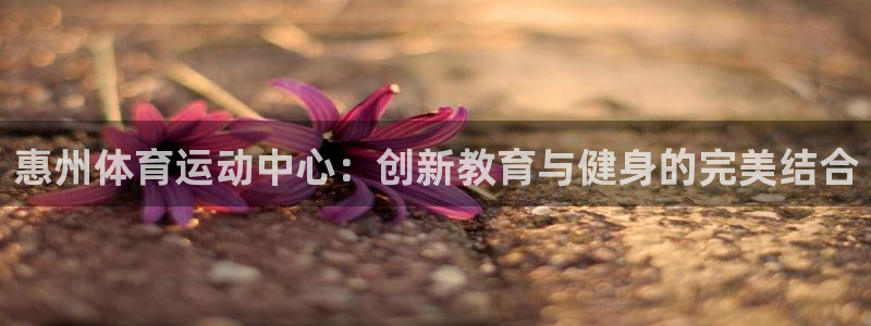 尊龙官网下载平台注册流程图：惠州体育运动中心：创新教