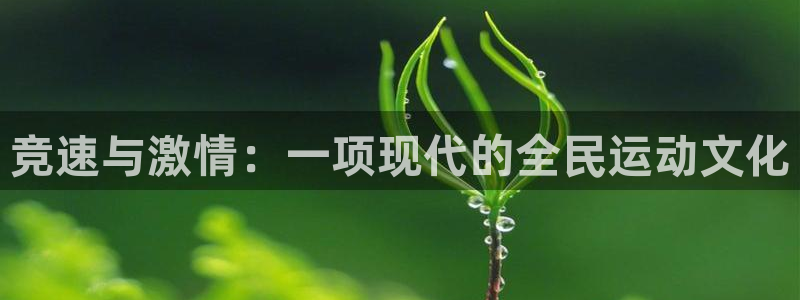 尊龙官网下载平台是正规平台吗：竞速与激情：一项现代的全民运动