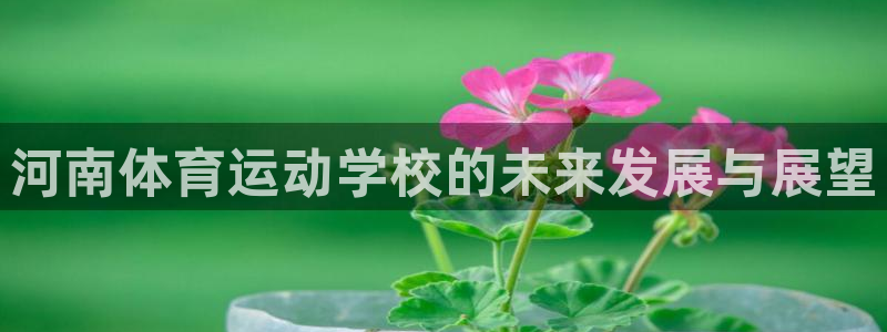 尊龙官方集团官网