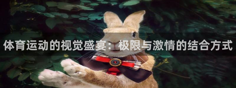 尊龙官网下载：体育运动的视觉盛宴：极限与激情的结合方式