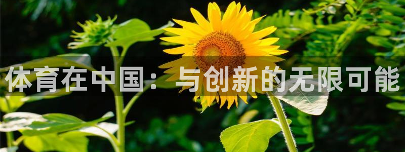 尊龙官方正版app集团简介：体育在中国：与创新的无限可能