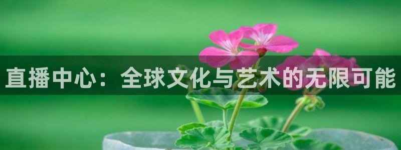 看球吧nba免费直播：直播中心：全球文化与艺术的无限可能