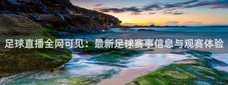 88看球吧直播：足球直播全网可见：最新足球赛事信息与观赛体验