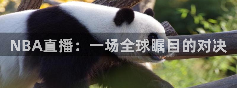 看球吧 直播：NBA直播：一场全球瞩目的对决
