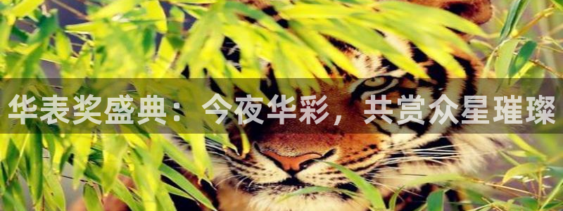 jrs直播低调看球吧：华表奖盛典：今夜华彩，共赏众星璀璨