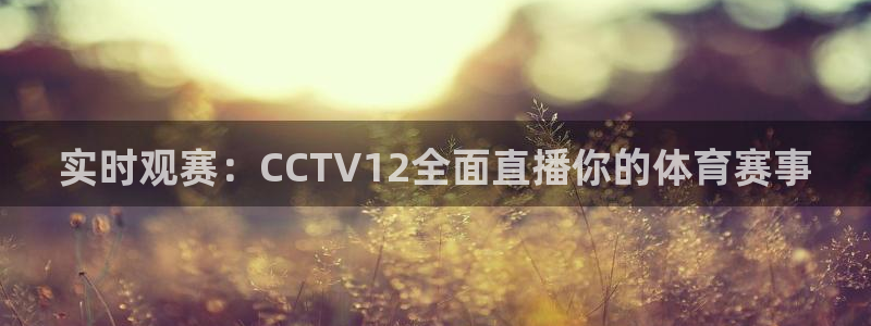 体育赛事视频直播看球吧：实时观赛：CCTV12全面直播你的体育赛事