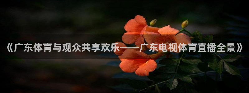 看球吧体育直播：《广东体育与观众共享欢乐——广东电视体育直播全景》