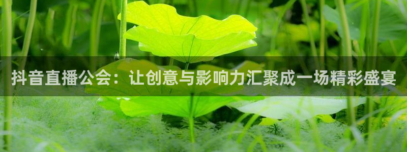 看球吧nba直播吧在线直播：抖音直播公会：让创意与影响力汇聚成一场精彩盛宴