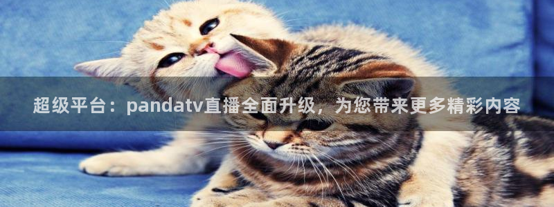 nba视频直播无插件看球吧：超级平台：pandatv直播全面升级，为您带来更多精彩内容