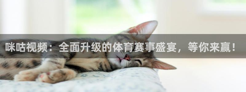 看球吧在线观看免费直播：咪咕视频：全面升级的体育赛事盛宴，等你来赢！